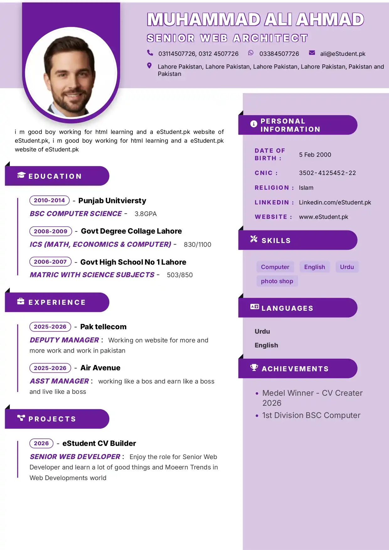 Professional CV Design Modern T3