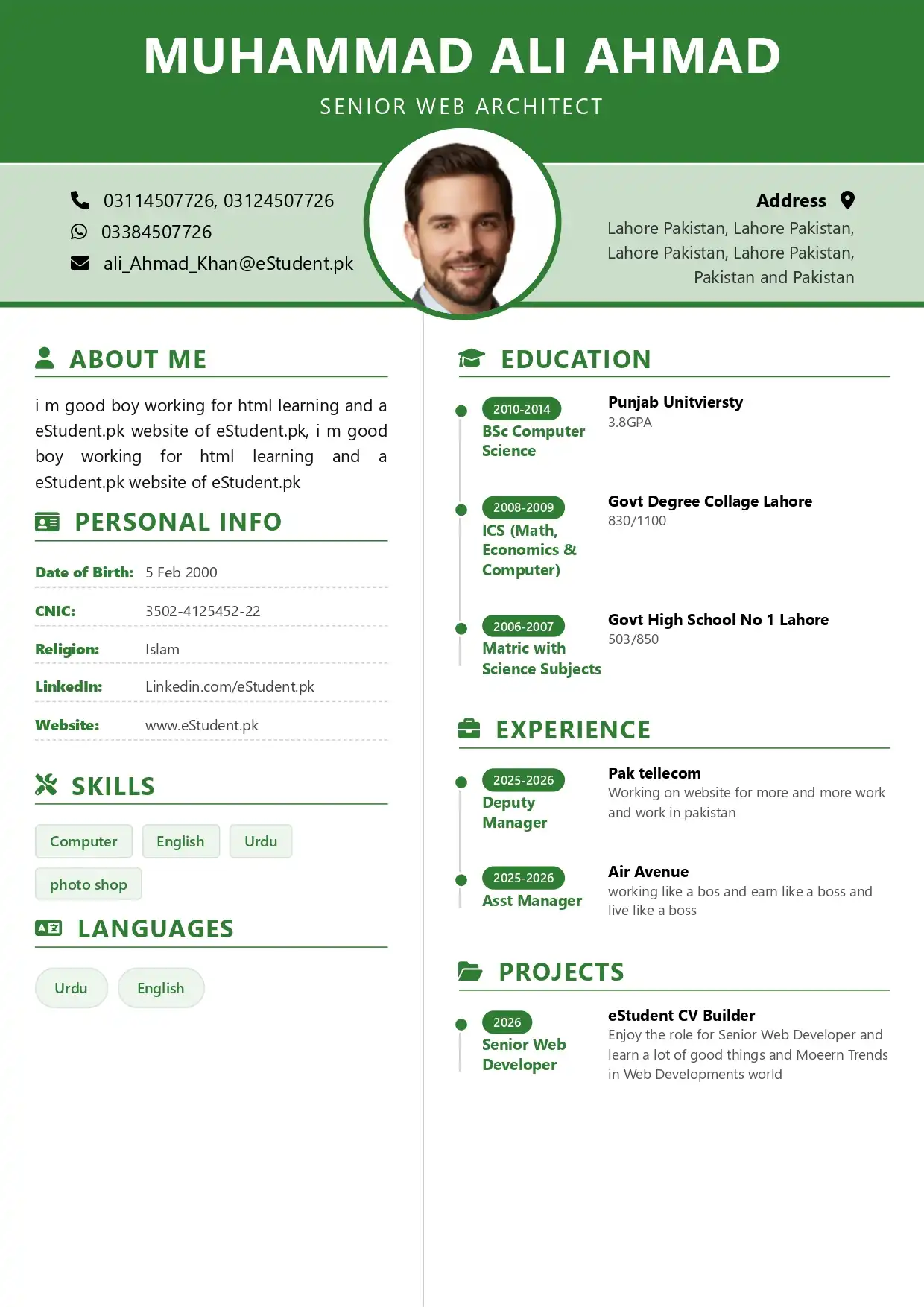 Simple CV Graphic Web Designer Modern T05