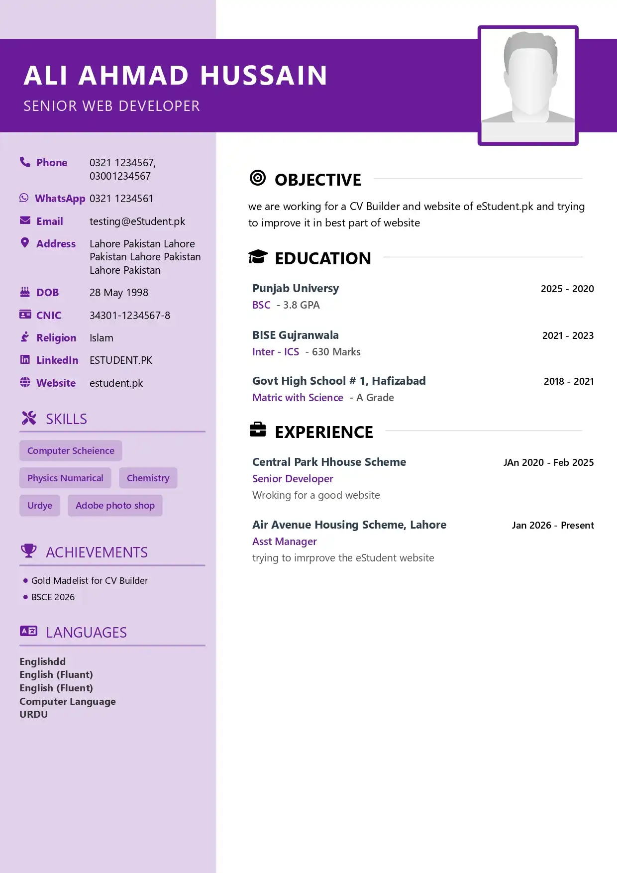 Professional CV Graphic Designer Modern T06