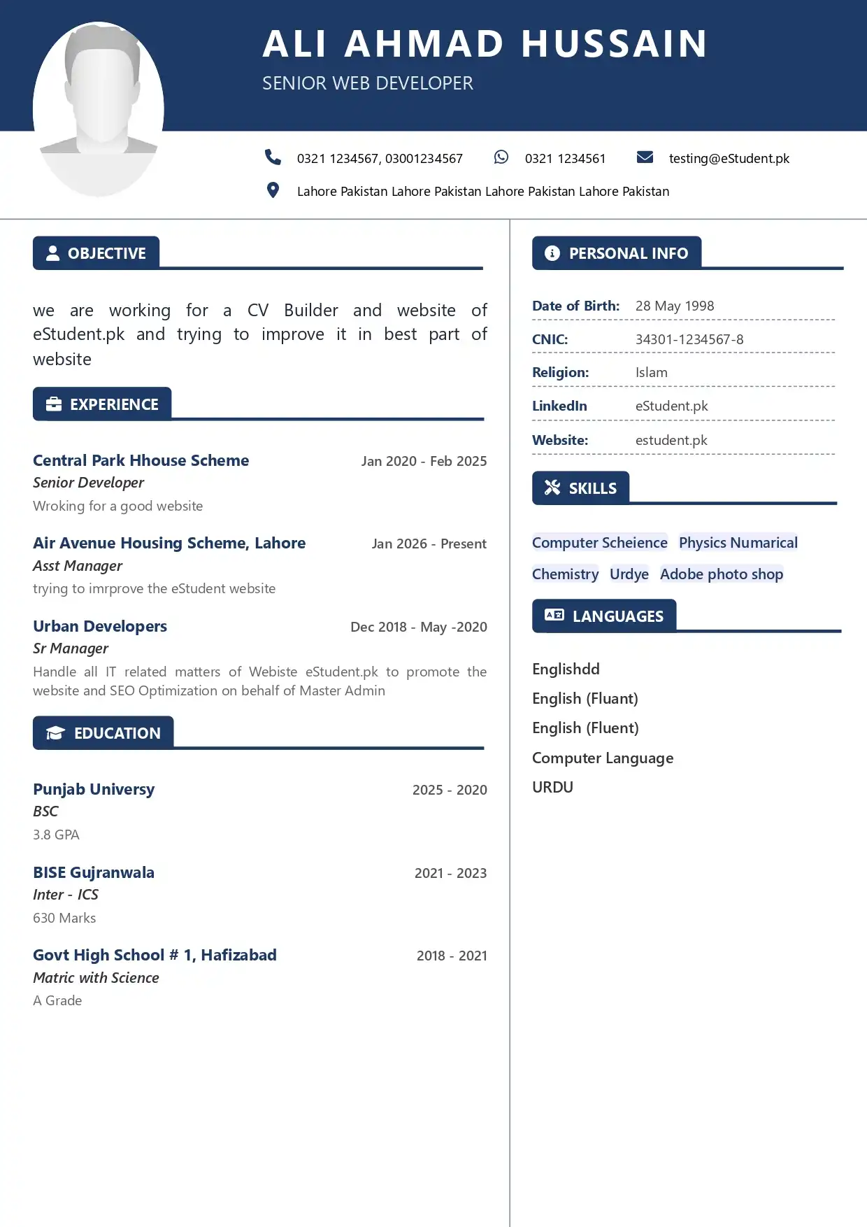 Professional CV Store Manager Incharge Modern T07